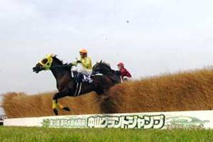 Jump at the price of Nakayama