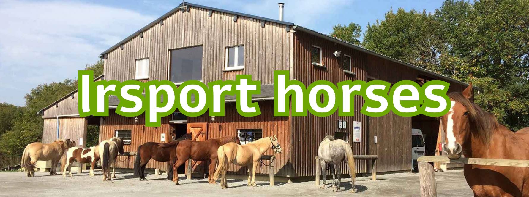 the stable LRsport Horses